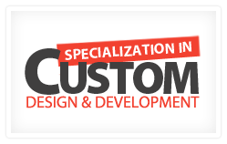 custom web design experts